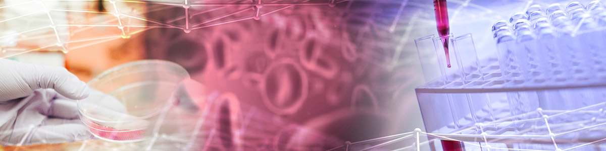 Banner_BiopsiaLiquida