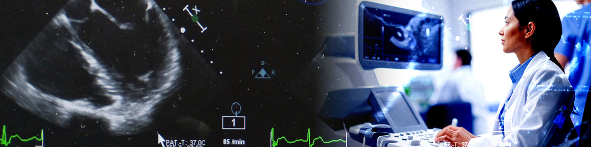 Banner_POCUS
