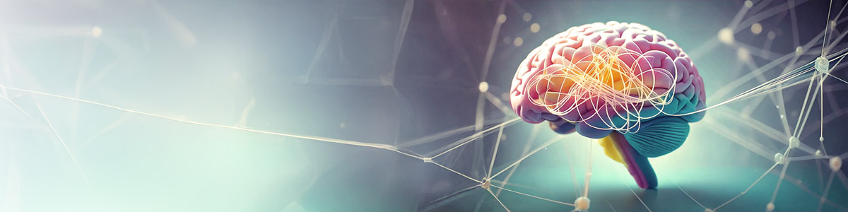 Banner_TMF