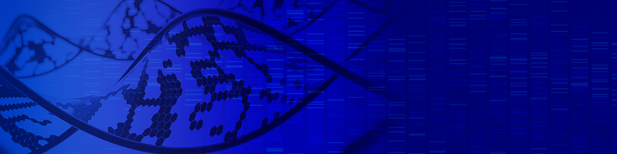 Banner_Metodologico_3